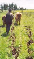 Conservation tillage