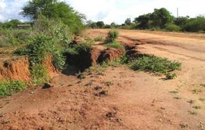 Deep gullies in the road