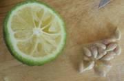 Lemon Seeds