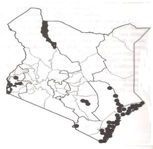 Distribution of Coconut palm in Kenya