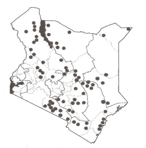 Distribution of Cordia sinensis in Kenya