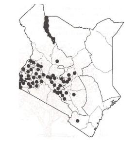 Distribution of E. saligna in Kenya
