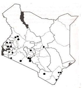 Distribution of Euphorbia tirucalli in Kenya