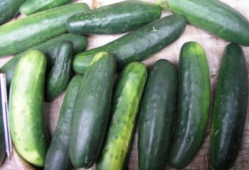 Long type cucumber in Nairobi market, Kenya. Ⓒ Foods of the Nairobi people, 2005