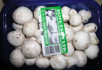 Button mushroom. © Maundu P, 2006