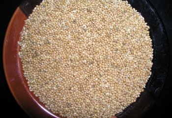 Proso millet. © Maundu 2005
