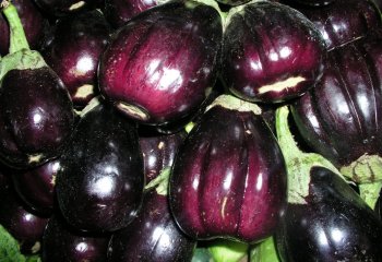 Round brinjals in Nairobi market, Kenya Ⓒ Food of the Nairobi people, 2005