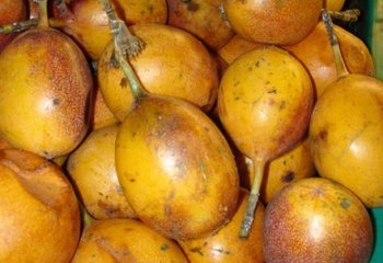 Passion sweet granadilla type in Nairobi market, Kenya. Ⓒ Adeka et al., Foods of Nairobi people, 2006