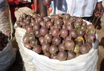 Purple passion fruit in Mbale Uganda. © Maundu, 2005.
