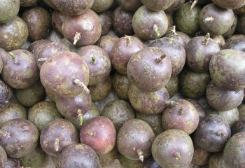 Purple passion fruit, Passiflora edulis forma edulis (purple-green type) in Nairobi market, Kenya Ⓒ Maundu, 2005