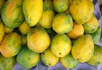 Ripe pawpaws fruits in Ngara market, Nairobi , Kenya. Ⓒ P Maundu, 2005