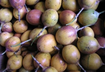 Sweet granadilla at a Nairobi market, Kenya. © Maundu, 2005
