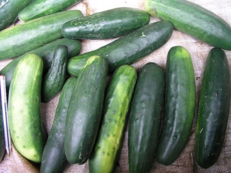 Ⓒ Foods of the Nairobi people, 2005