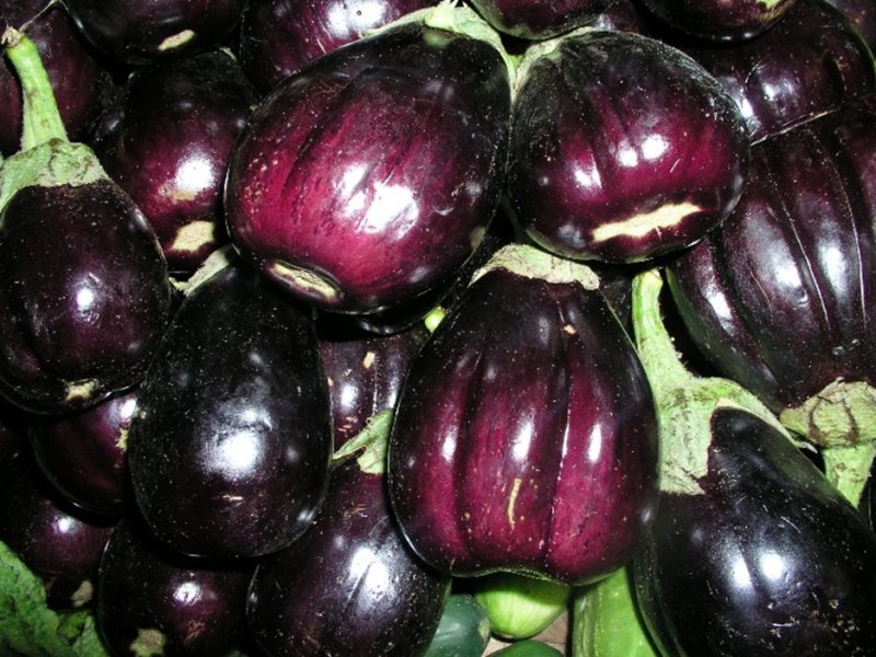 Ⓒ Food of the Nairobi people, 2005
