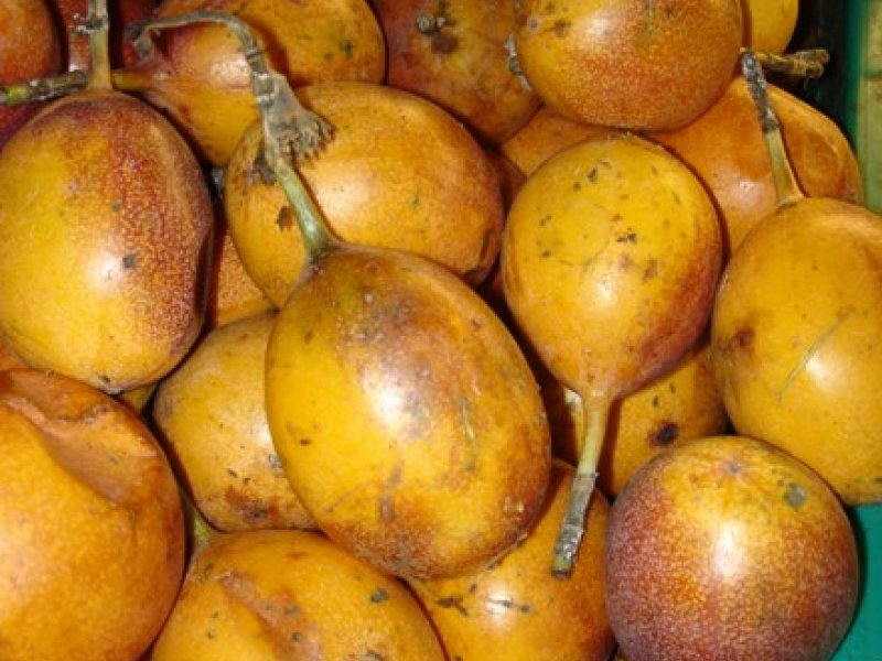 Ⓒ Adeka et al., Foods of Nairobi people, 2006