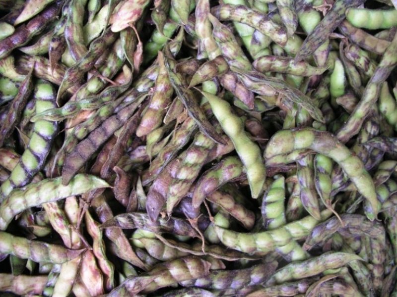 #Ⓒ Adeka et al. 2006. Foods of the Nairobi people