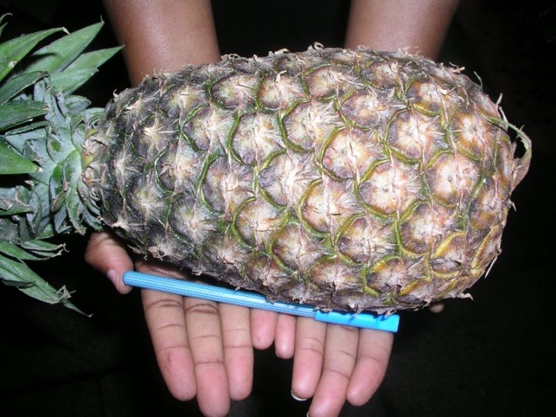 Ⓒ Foods of Nairobi people, 2005