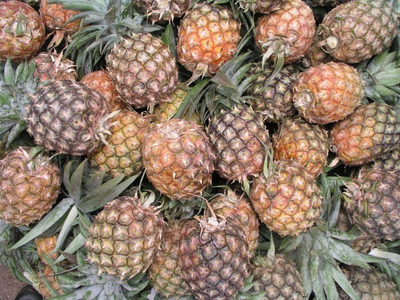 Ⓒ Adeka et al., 2005. Foods of Nairobi people