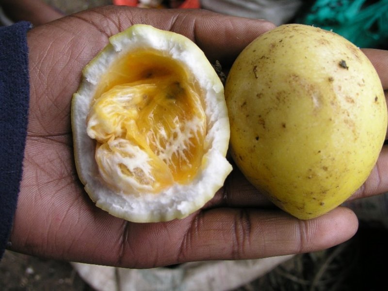 Ⓒ Foods of Nairobi people, 2005