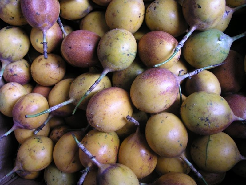 © Maundu, 2005
