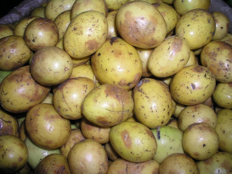 Ⓒ Foods of Nairobi people, 2005
