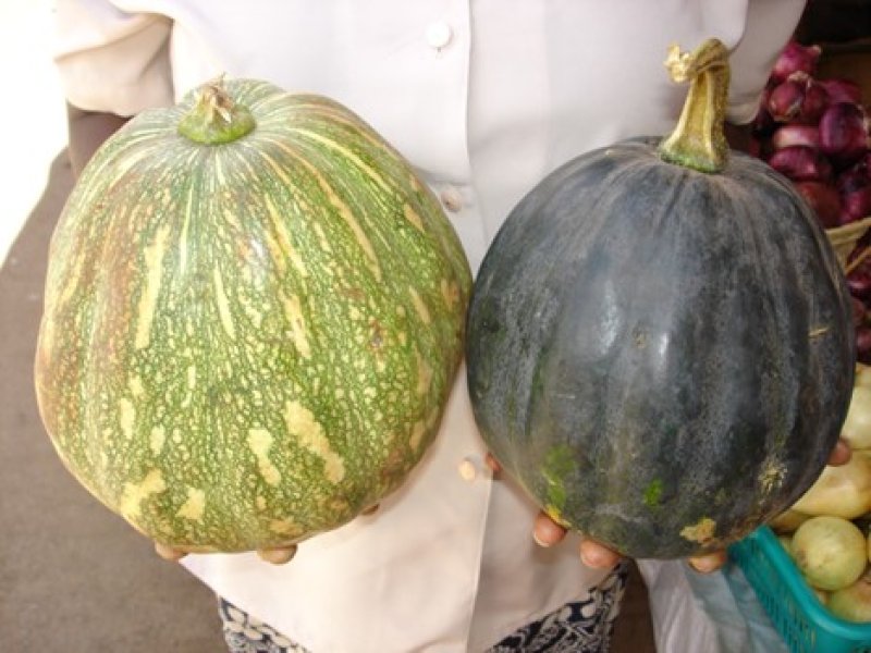 Ⓒ Adeka et al., 2005