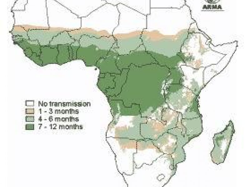 © MARA / ARMA Mapping Malaria Risk in Africa. www.mara.org.za 